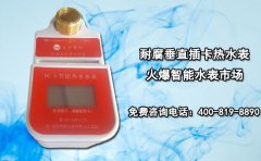 耐腐垂直插卡热水表火爆智能水表市场
