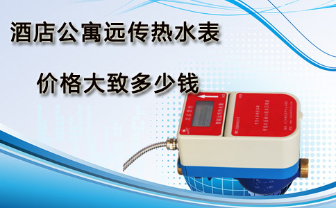 远传热水表