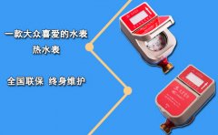 一款大众喜爱的水表热水表