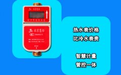 热水表价格比冷水表贵?