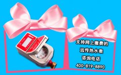 支持网上缴费的远传热水表
