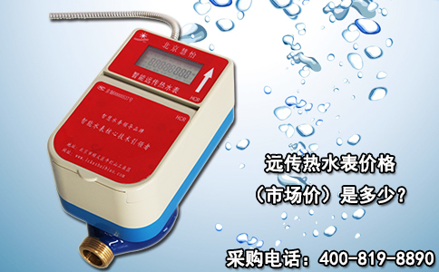 远传热水表价格（市场价）是多少？