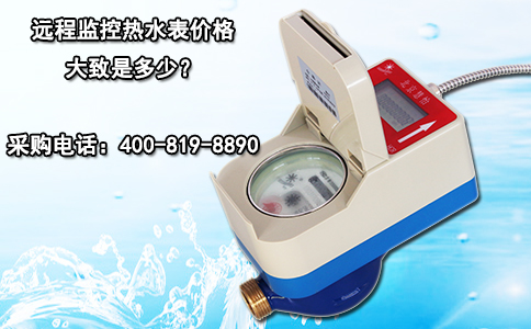 远程监控热水表价格大致是多少？