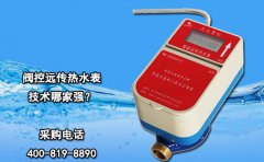 阀控远传热水表技术哪家强?